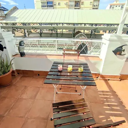 La Terraza De Salomon Apartamentosmalagamanagement Malaga